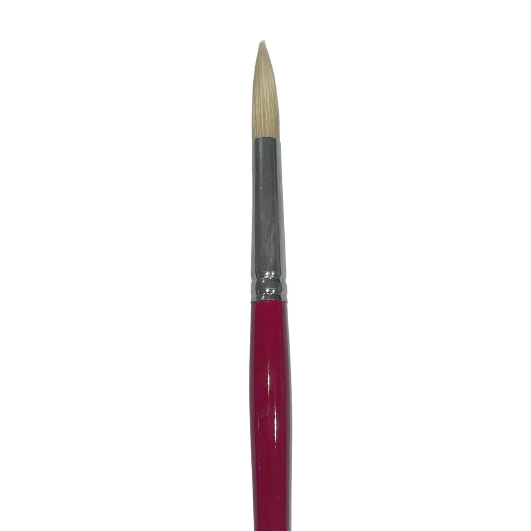 Art Spectrum 1000 Hog Bristle Round Brushes - Image 6
