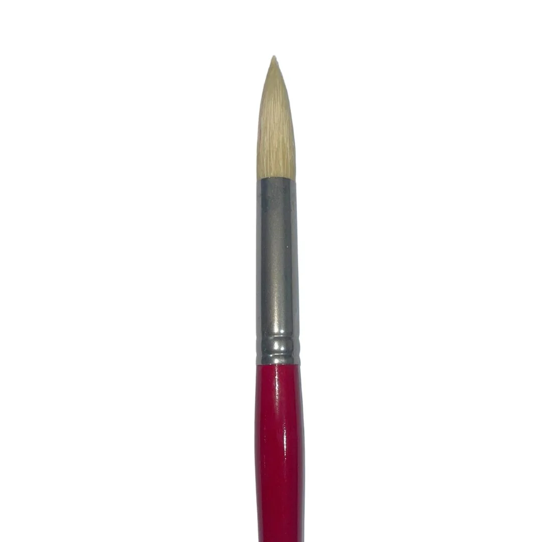 Art Spectrum 1000 Hog Bristle Round Brushes - Image 7