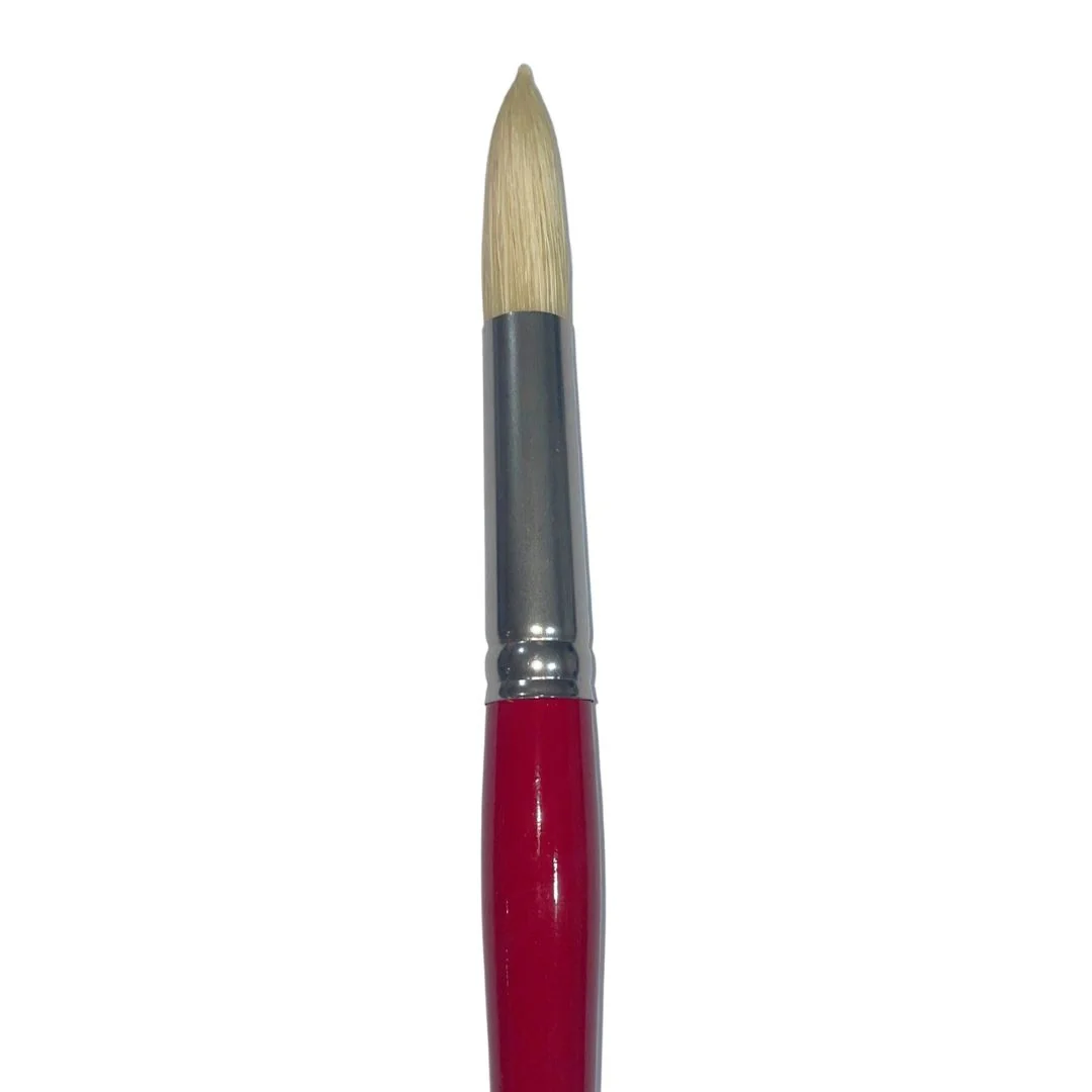 Art Spectrum 1000 Hog Bristle Round Brushes - Image 8